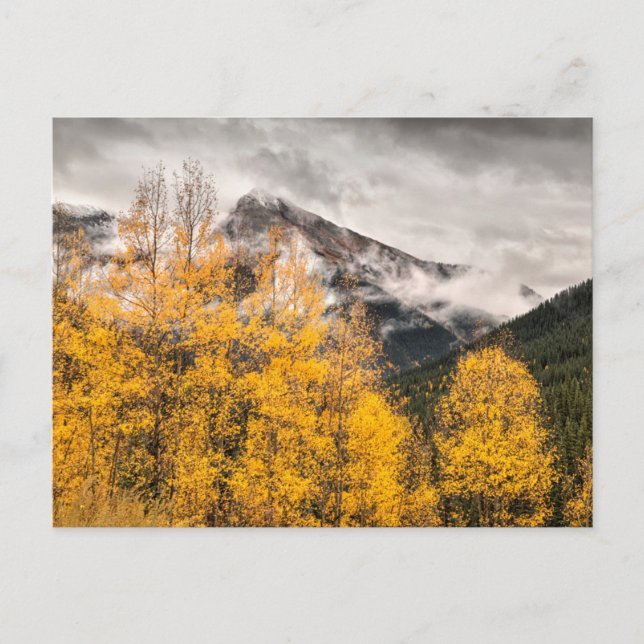 Alpreakloop | Silverton, Colorado Vykort (Framsida)