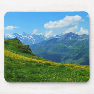 Alprey i Schweiz Musmatta