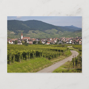 Alsace, Frankrike Vykort