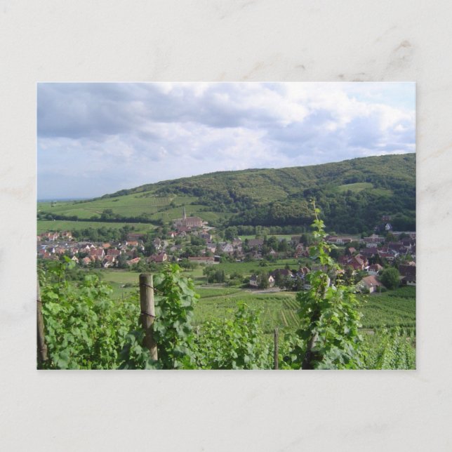 Alsace vingårdar vykort (Framsida)