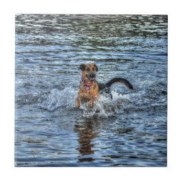 Alsatianska schepherd Hund-älskare Gift Kakelplatta