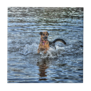 Alsatianska schepherd Hund-älskare Gift Kakelplatta