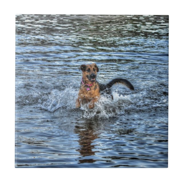 Alsatianska schepherd Hund-älskare Gift Kakelplatta (Framsidan)