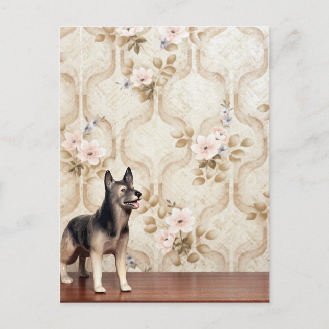 Alsation hund vykort (Framsida)