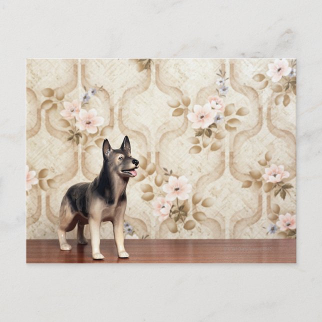 Alsation hund vykort (Framsida)