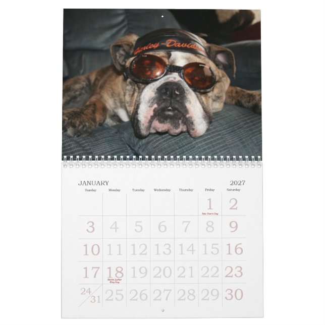 Älska den bulldogg Calander Kalender (Jan 2027)