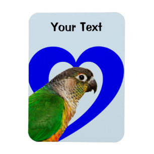 Älska denna Conure magnet