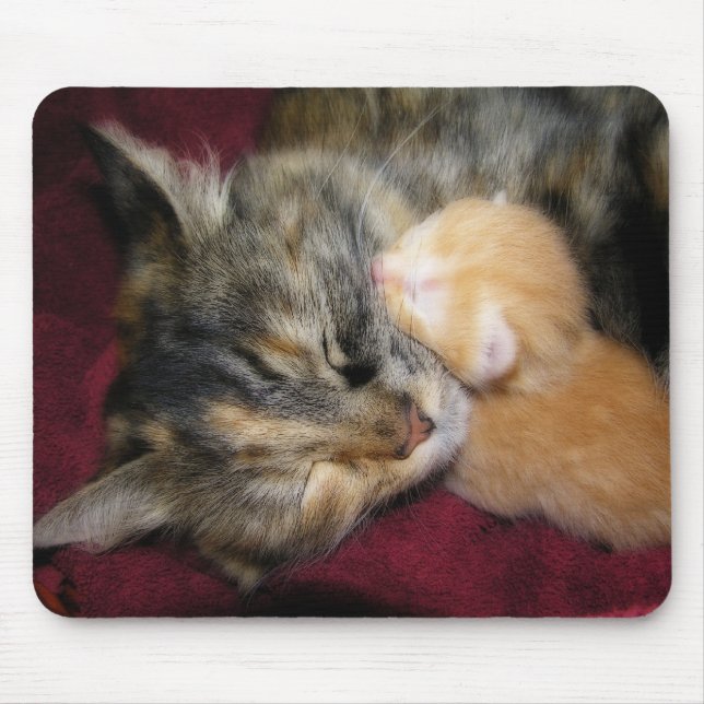 Älska dig mamman musmatta (Framsidan)