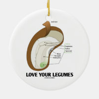 Älska dina Legumes (bönan Dicotyledon)