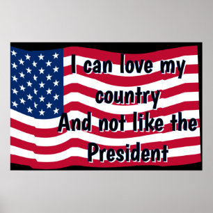 Älska Landet Inte Presidenten Poster