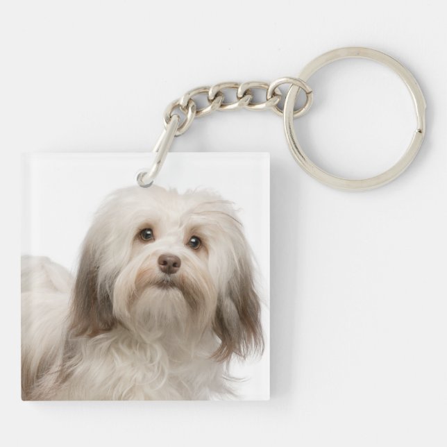 Älska min Havanese Keychain (Baksidan)