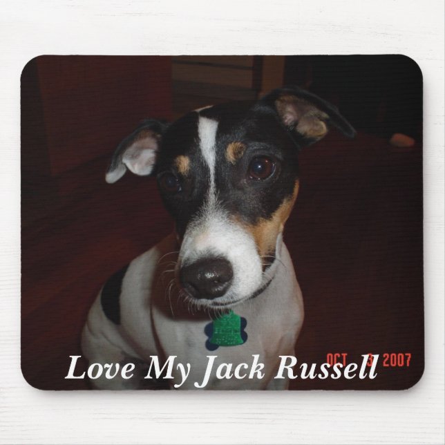 Älska min jack Russell Musmatta (Framsidan)