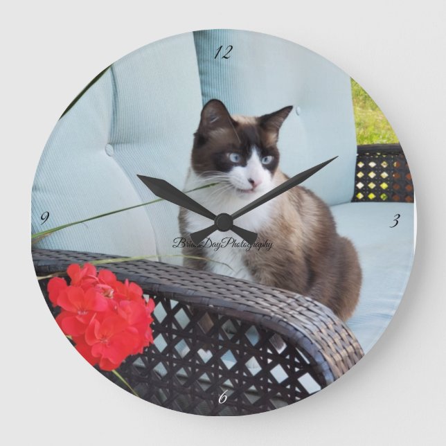 älskad familj av kattsällskapsdjur älskade kattdju stor klocka (Framsida)