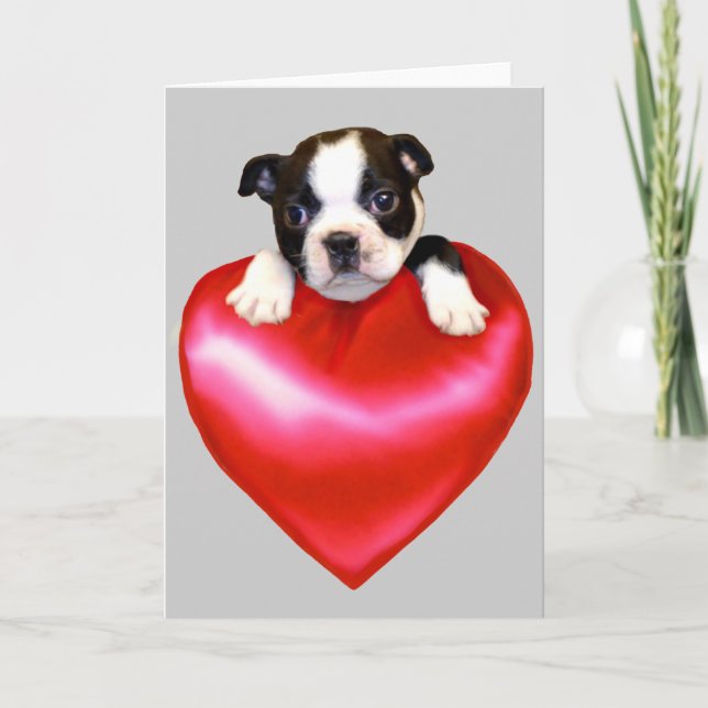 Älskar Boston Terrier välkomstkort Kort (Framsida)