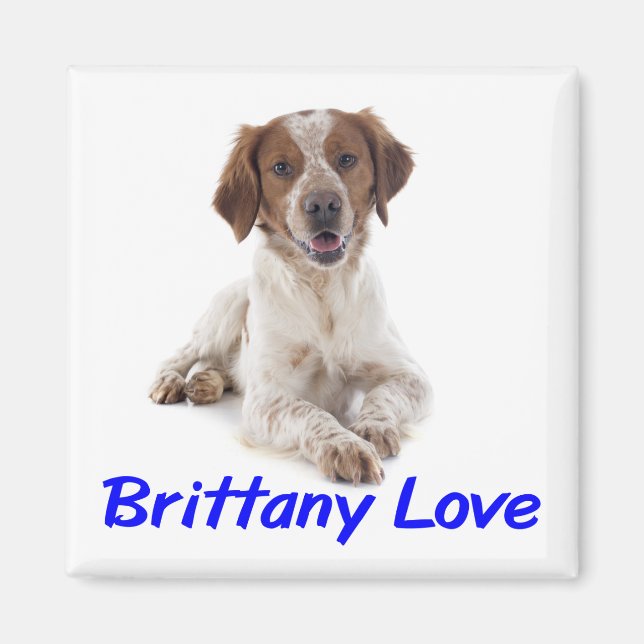 Älskar Brittany Spaniel Valp Hund Magnet (Framsidan)