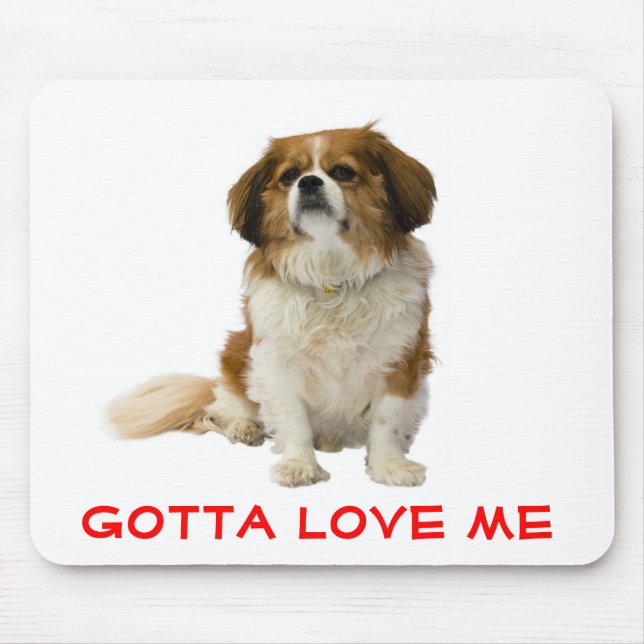 Älskar Cavalier King Charles Spaniel Valp  Musmatt Musmatta (Framsidan)