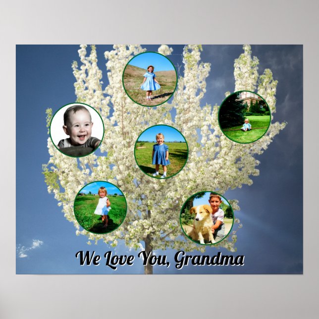 Älskar dig mormor Vit blommande träd Sex foton  Poster (Framsidan)