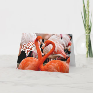 Älskar dig två vackra flamingofåglar  kort