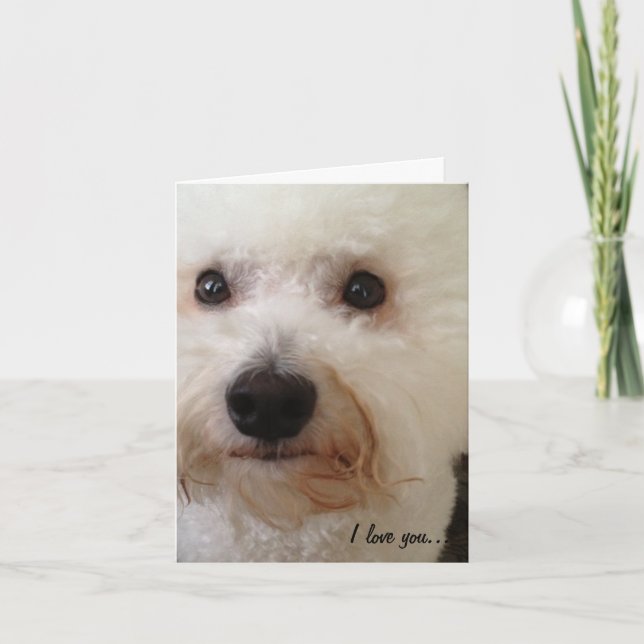 "Älskar jag dig… mer! ", Kort (Framsida)