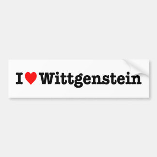 "ÄLSKAR JAG WITTGENSTEIN ", BILDEKAL