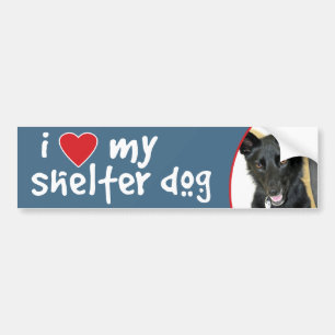 Älskar min skyddshund Belgisk fårdhund Bildekal