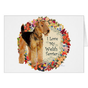 Älskar Min Welsh Terrier Hälsningskort