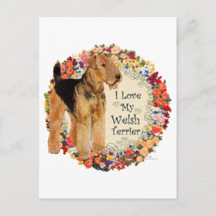 Älskar Min Welsh Terrier Vykort