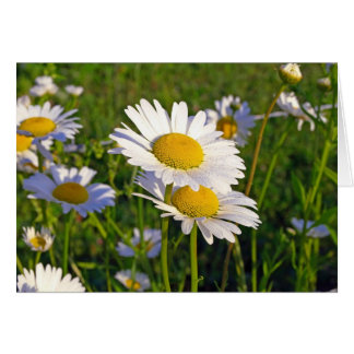 Älskare Hälsningskort