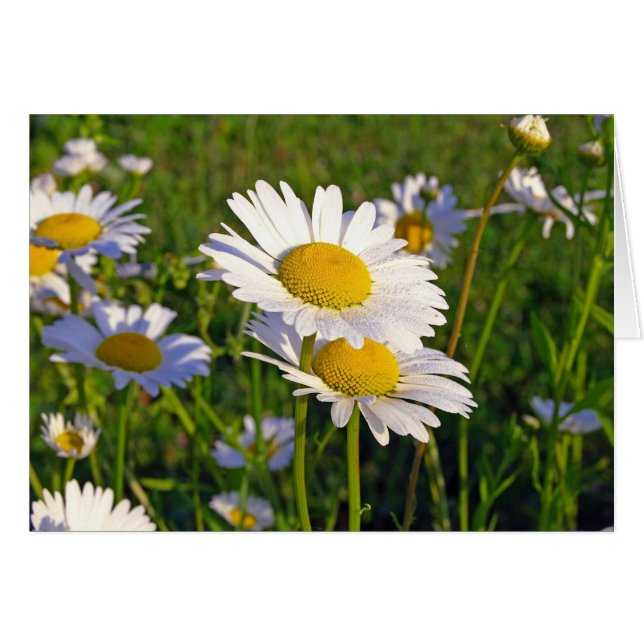 Älskare Hälsningskort (Framsidan Horizontal)