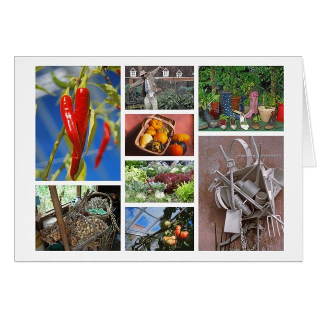 -älskare-kort hälsningskort (Framsidan Horizontal)