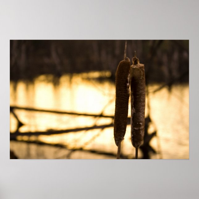 Älskare Poster (Framsidan)