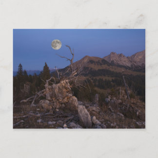 Älskarinna i natten vykort