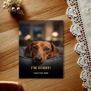 Älsklig Dachshund Ursäkta Postkort Vykort