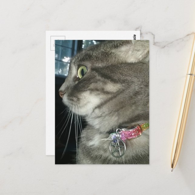 älsklig grå tabbykatt bär en pentagramhalsband vykort (Fram/Back In Situ)
