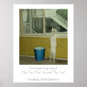 Älsklig Miss You-affisch! Poster