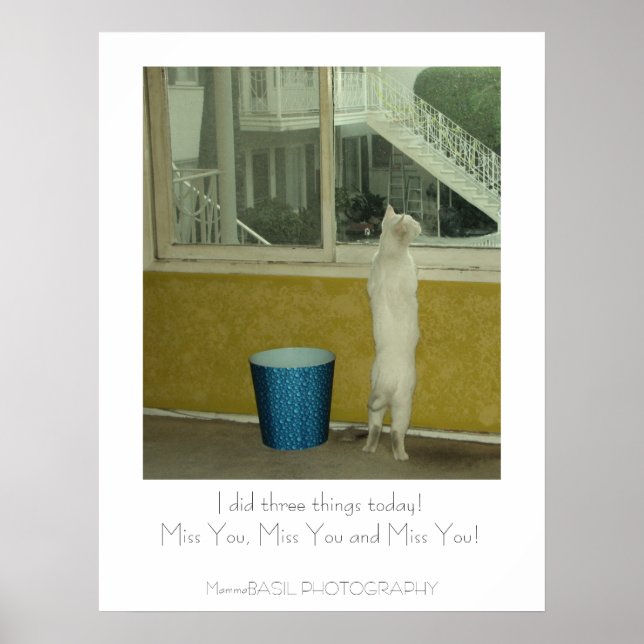 Älsklig Miss You-affisch! Poster (Framsidan)