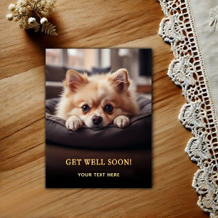 Älsklig Pomeranian Snart Bättre Vykort