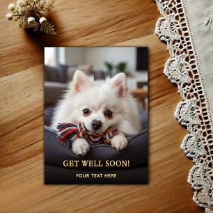 Älsklig Pomeranian Snart Bättre Vykort