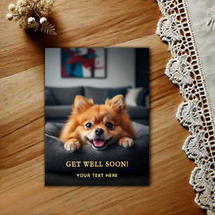Älsklig Pomeranian Snart Frisk Igen Vykort