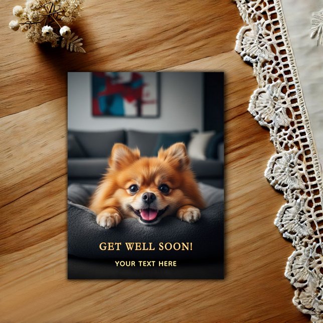 Älsklig Pomeranian Snart Frisk Igen  Vykort (Skapare uppladdad)
