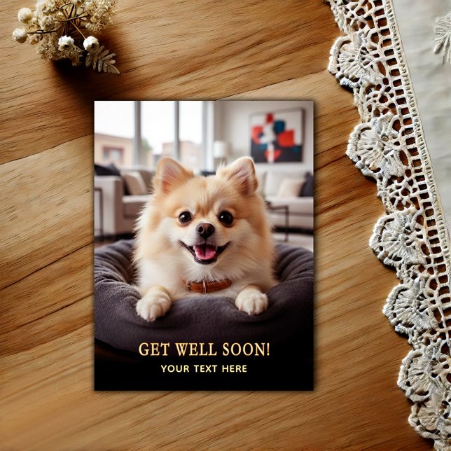 Älsklig Pomeranian Snart Frisk  Vykort (Skapare uppladdad)