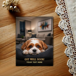 Älsklig Shih Tzu Snart Bättre Vykort