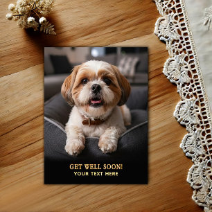 Älsklig Shih Tzu Snart Bättre Vykort