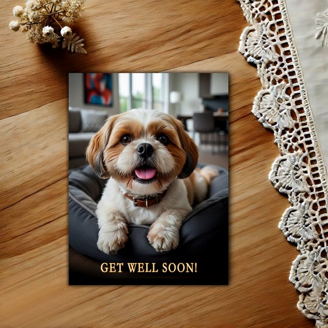 Älsklig Shih Tzu Snart Frisk Vykort (Skapare uppladdad)