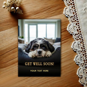 Älsklig Shih Tzu Snart Frisk Vykort