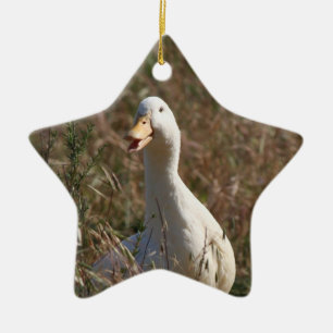 Älsklings- ankaprydnad julgransprydnad keramik