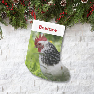 Älsklings- fegt älskarefoto och namnpersonlig liten julstrumpa