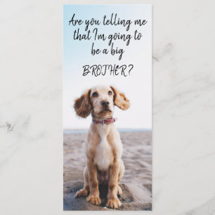 Älsklings- gravidmeddelande för storebror/för meddelande