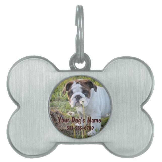 Älsklings- legitimationmärkre för anpassningsbar ID-bricka husdjur (Framsidan)