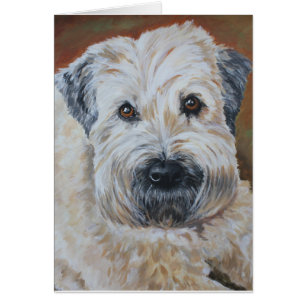 Älsklings- porträtt - Mjuk-Jackad Wheaten Terrier Hälsningskort